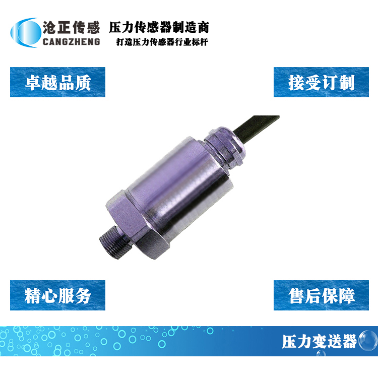 滄正壓力變送器CAZP-101 滄正壓力變送器CAZP-101