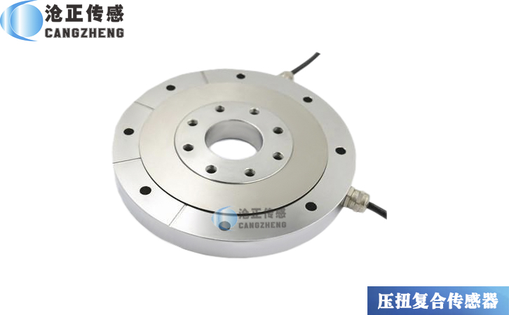 壓扭復合傳感器CAZF-YN98